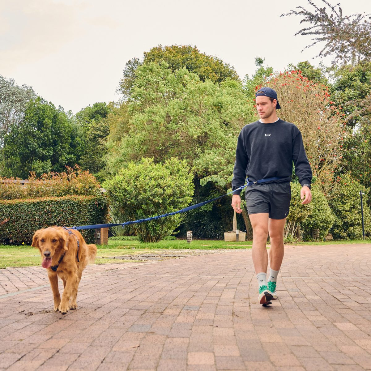 Feroz - Urban Pet Fashion