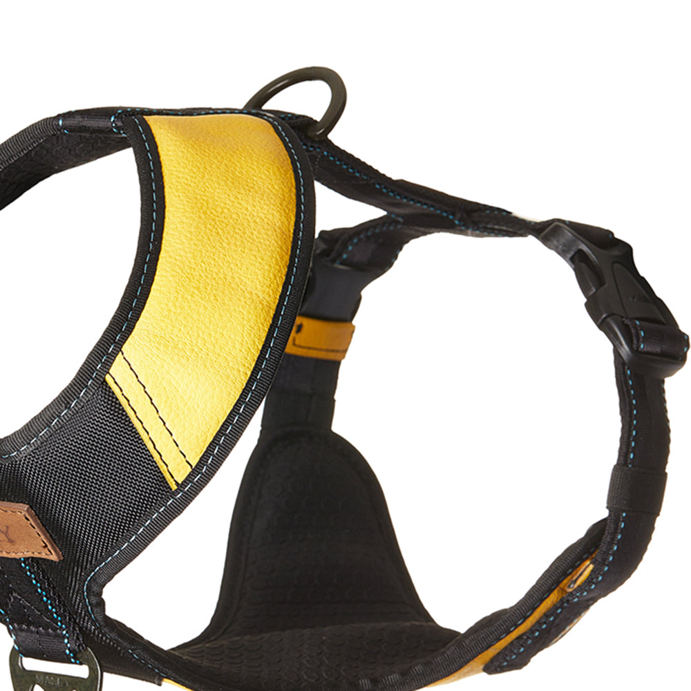 Premium Leather Easy Fit No-Pull Harness ~ Yellow & Black