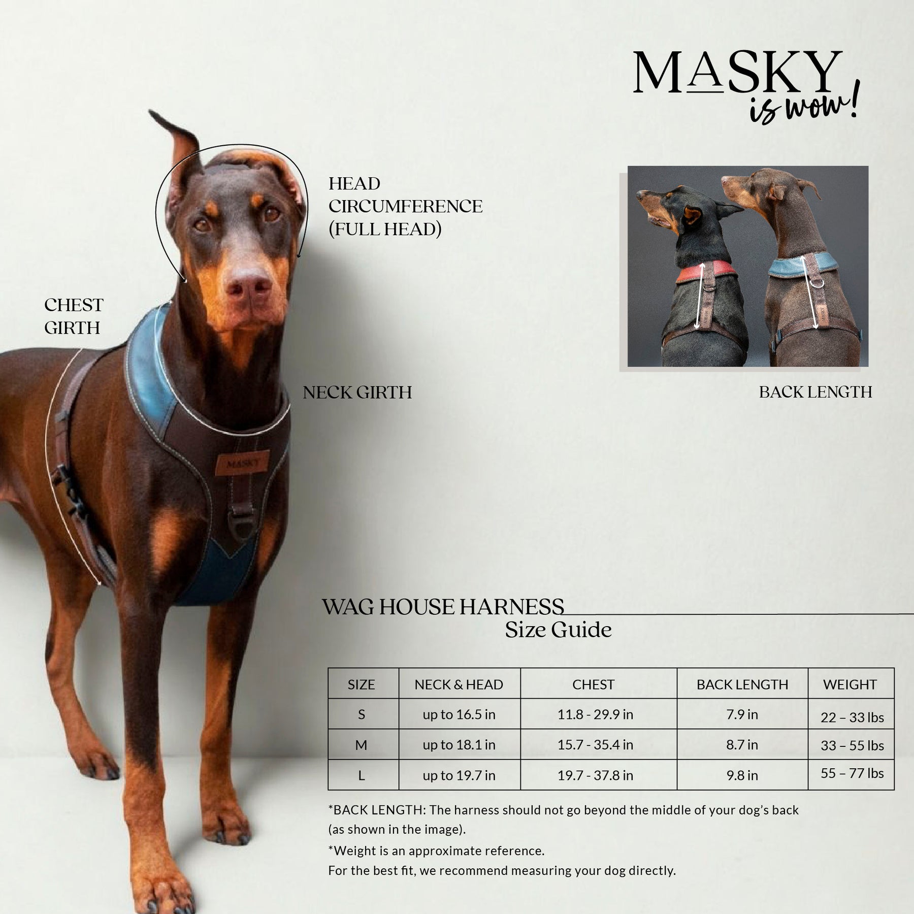 Premium Leather Easy Fit No-Pull Harness ~ Orange & Black