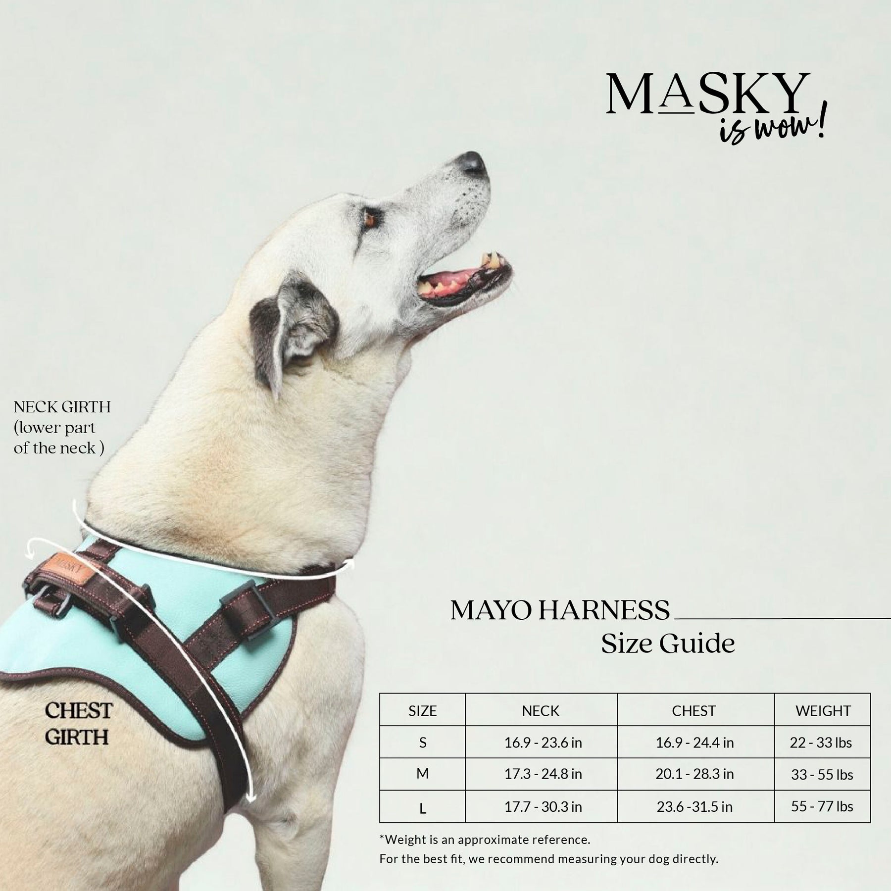 Premium Leather Anti-Choke Harness ~ Mint Green & Brown