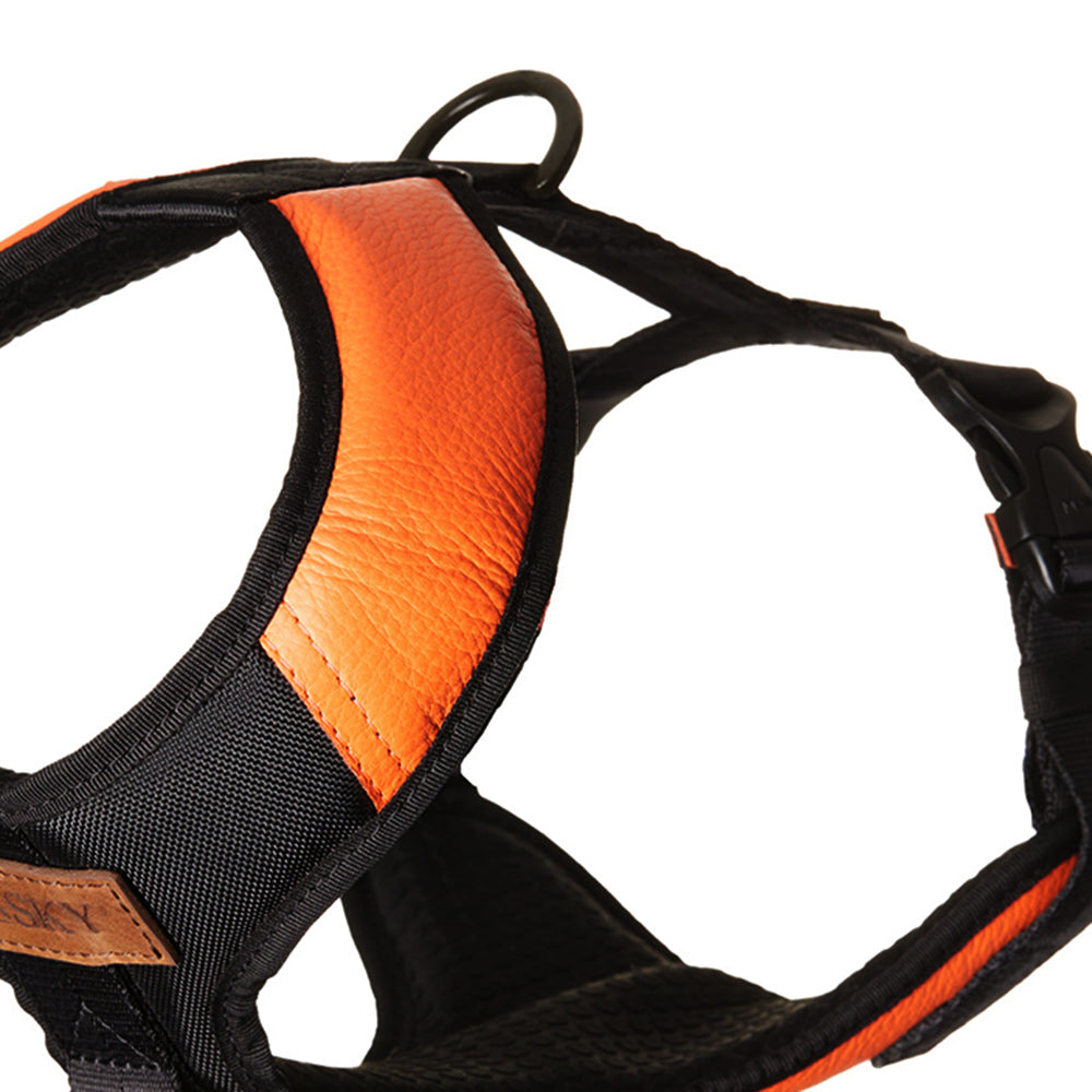 Premium Leather Easy Fit No-Pull Harness ~ Orange & Black