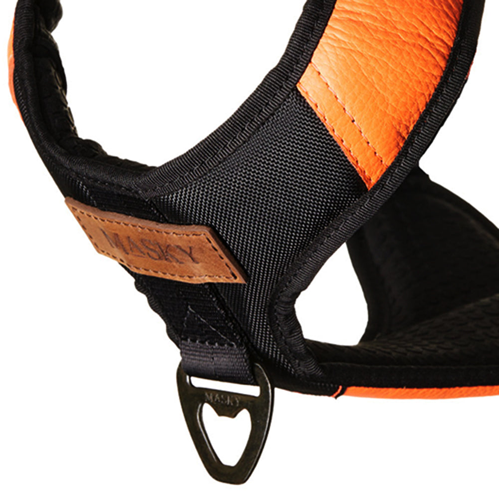 Premium Leather Easy Fit No-Pull Harness ~ Orange & Black