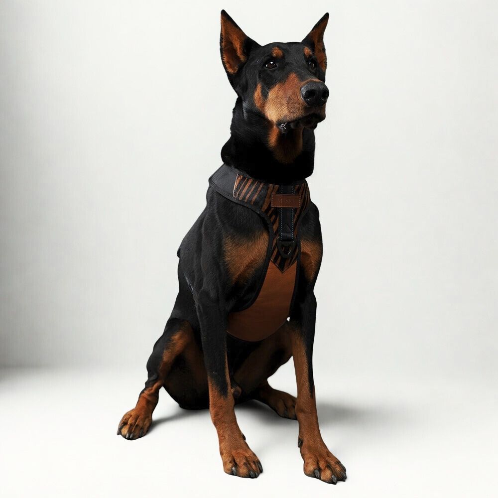 Animal Print Leather Harness for Stylish Dogs