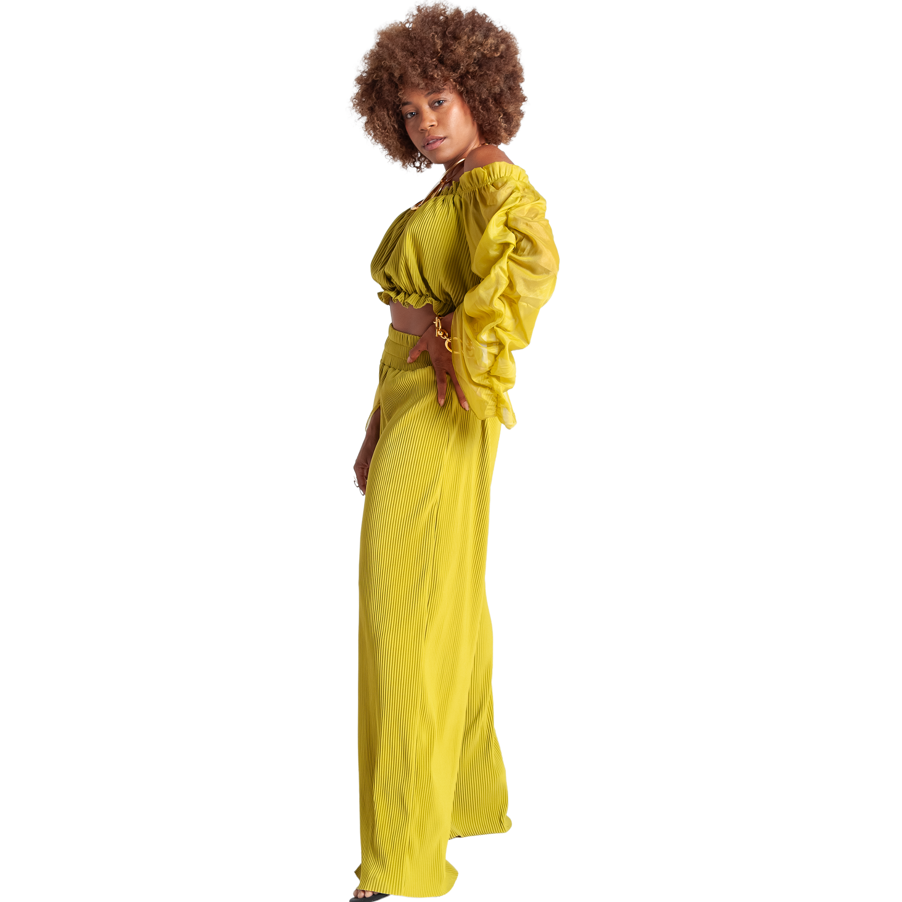 Off Shoulder Pleated Top