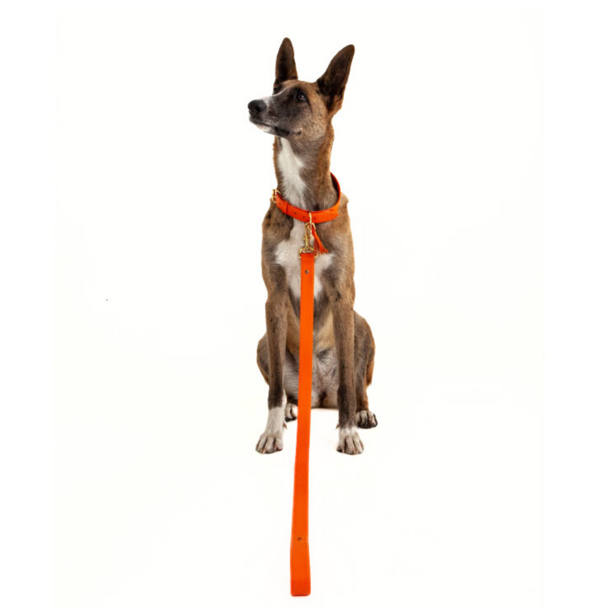 Orange Leather Dog Leash