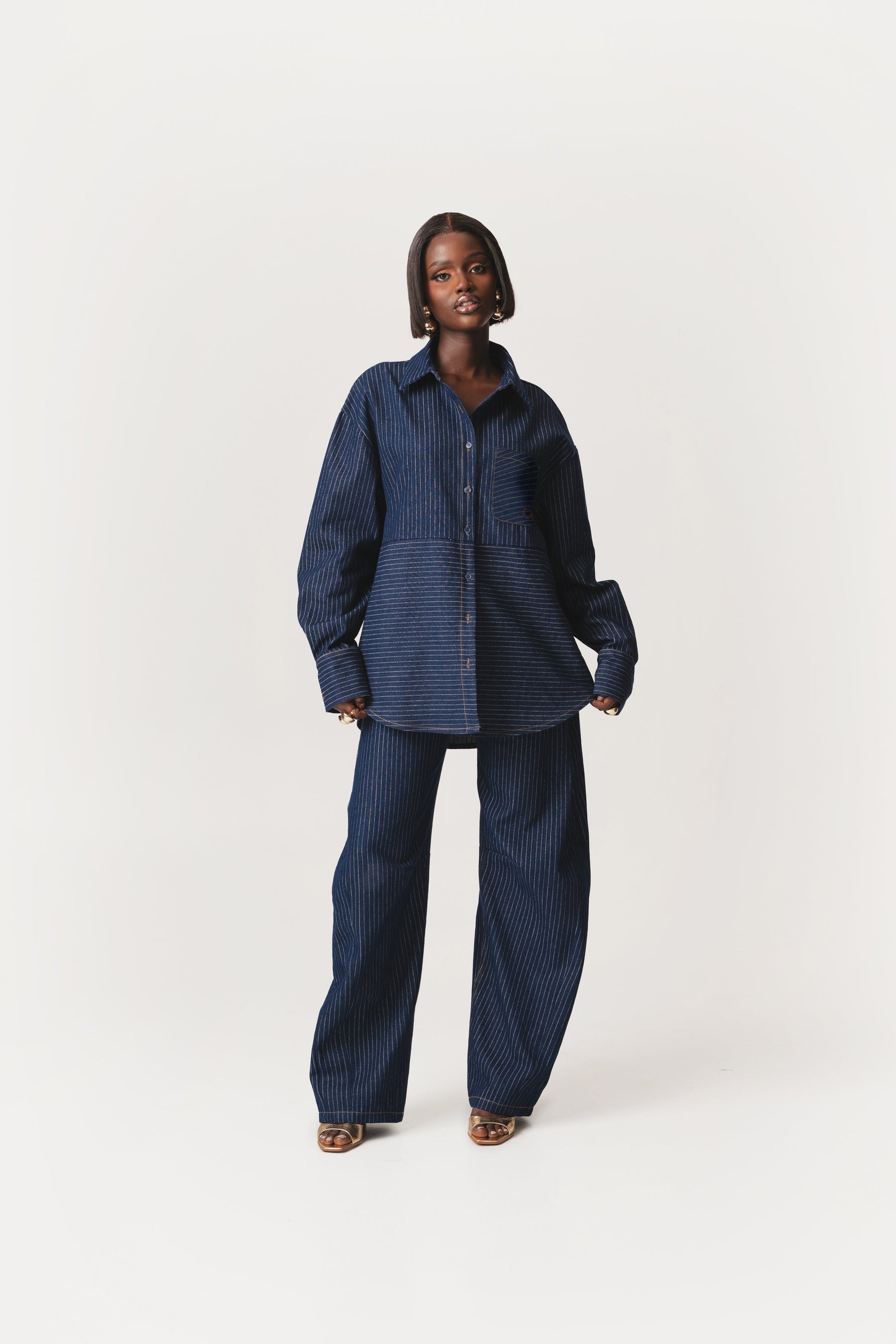 Denim Pinstripe TIA Button Up Shirt