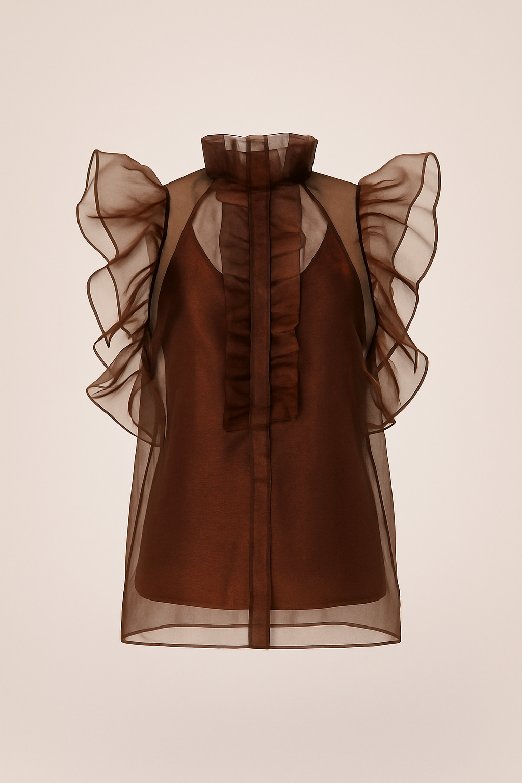 Organza Ruffle Sheer Top