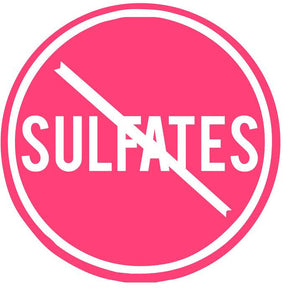 Sulfate Free Moisture Shampoo