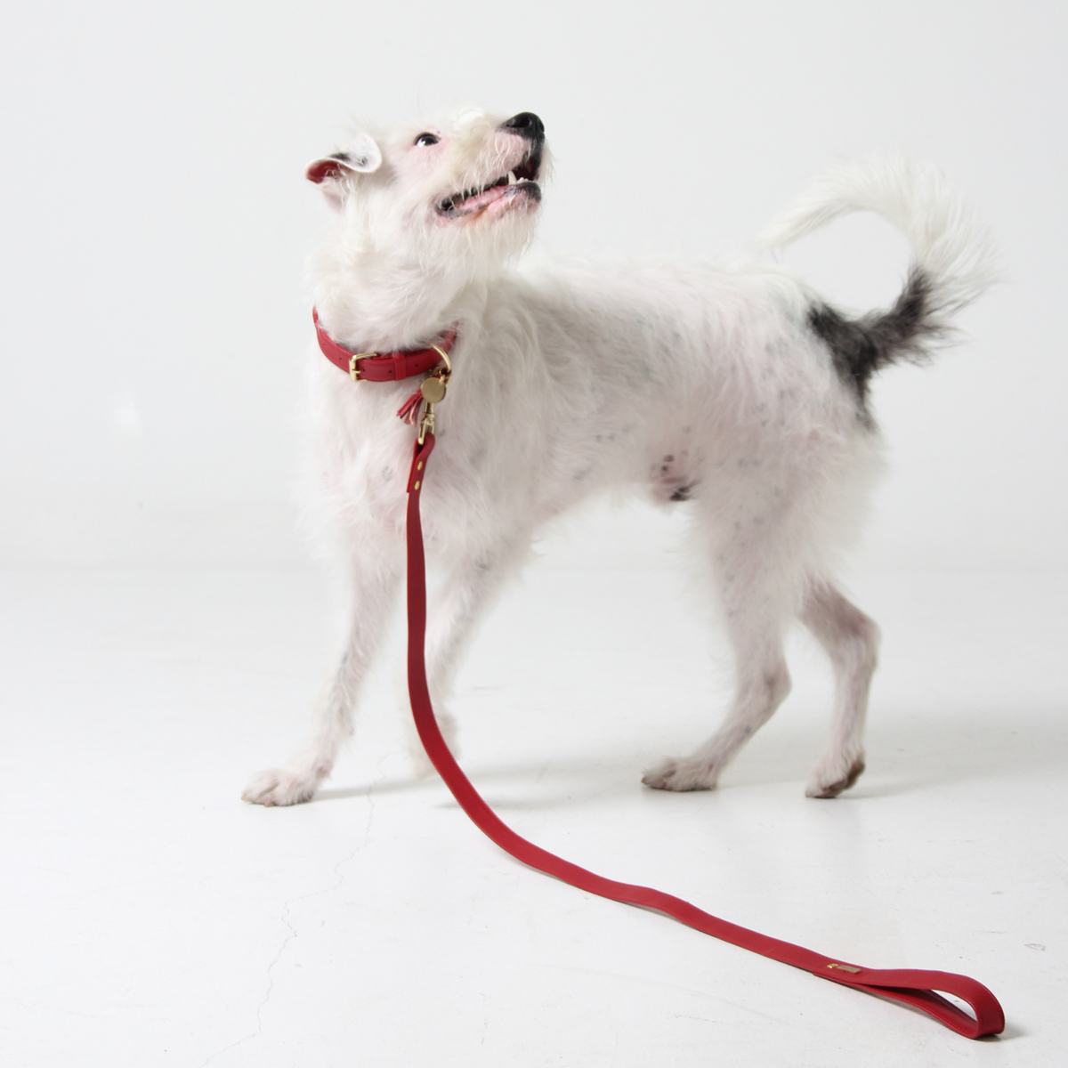 Red Leather Dog Leash