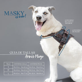 Premium Leather Anti-Choke Harness ~ Mint Green & Brown