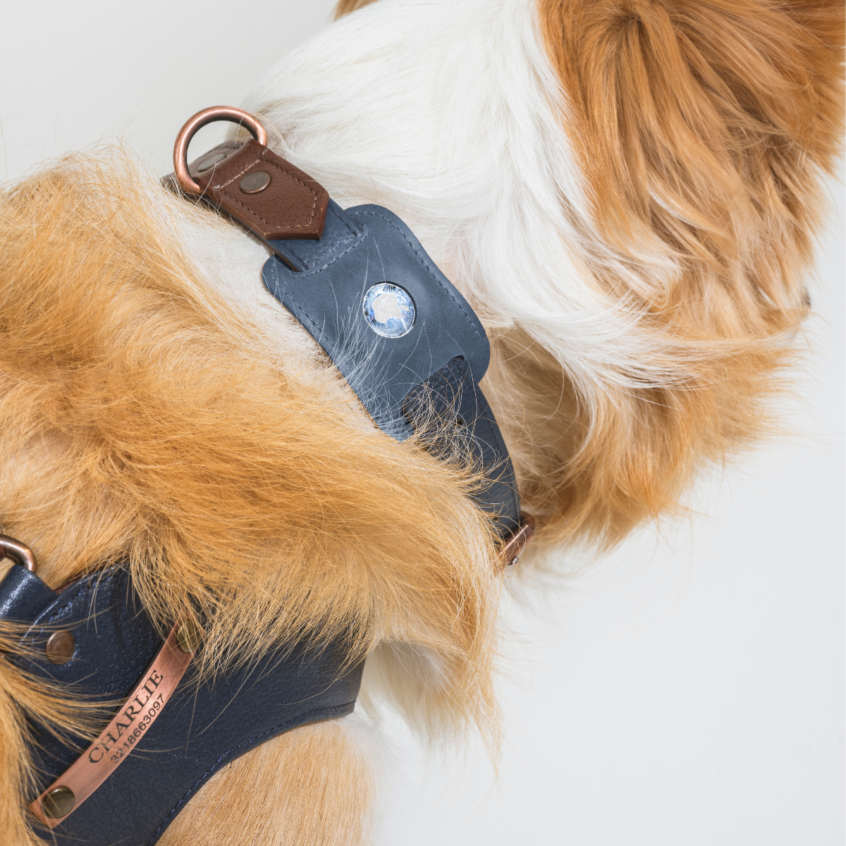 Leather Air Tag Holder