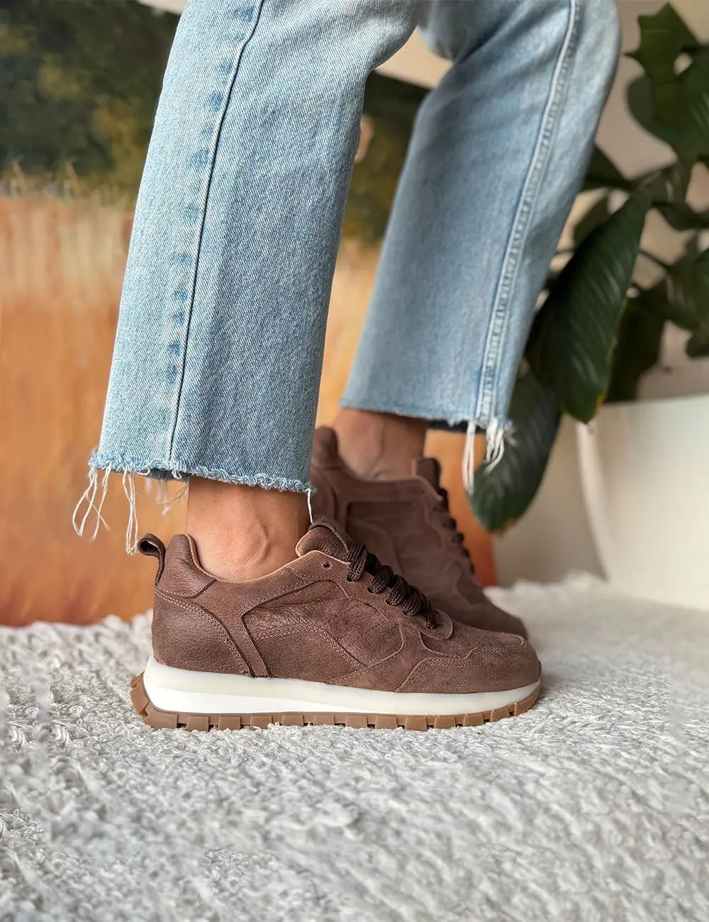 Mule Chocolate