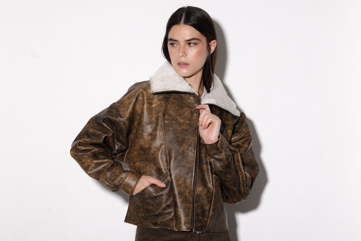 Bomber Jacket Winter