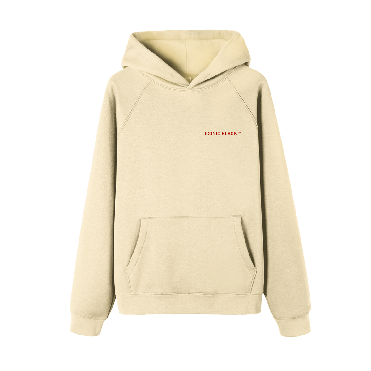 Iconic Word Raglan Hoodie