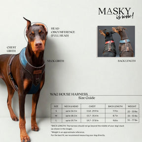 Premium Leather Easy Fit No-Pull Harness ~ Yellow & Black