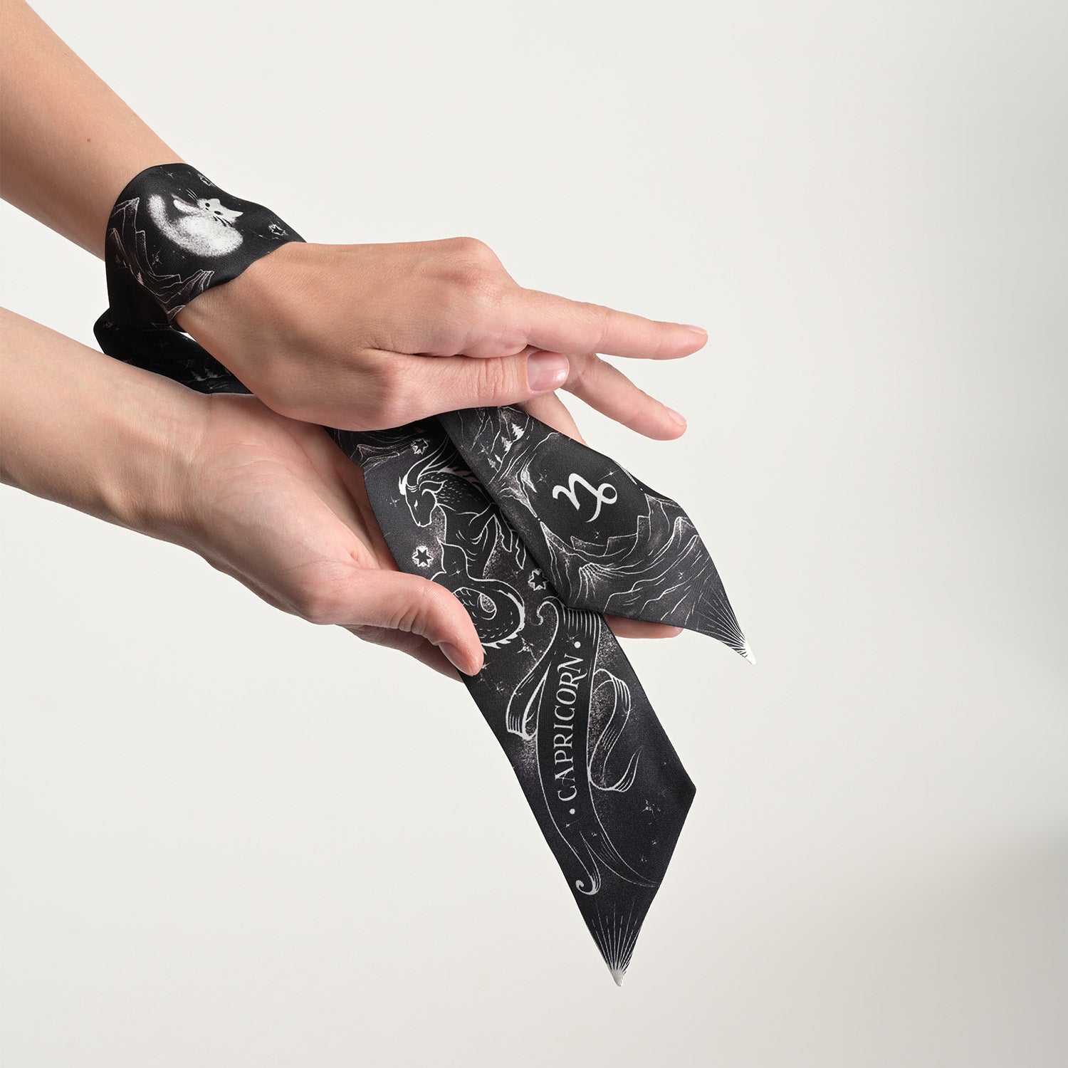 Capricorn Zodiac Twilly