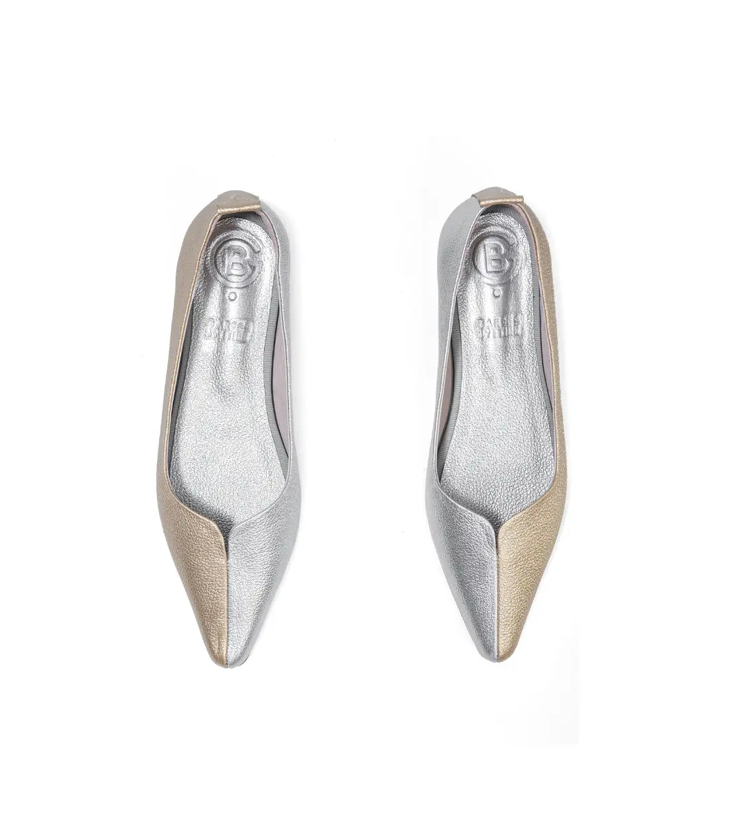 Lola Metallic Two-Tone Pointed Ballet Flats