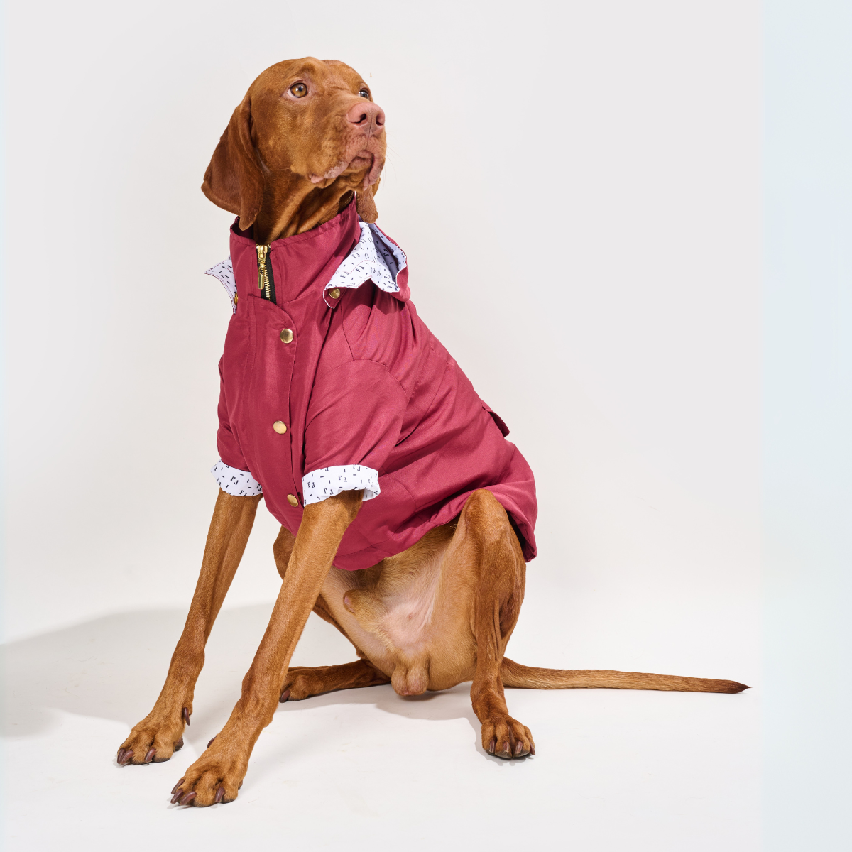 Ruby Dog Raincoat
