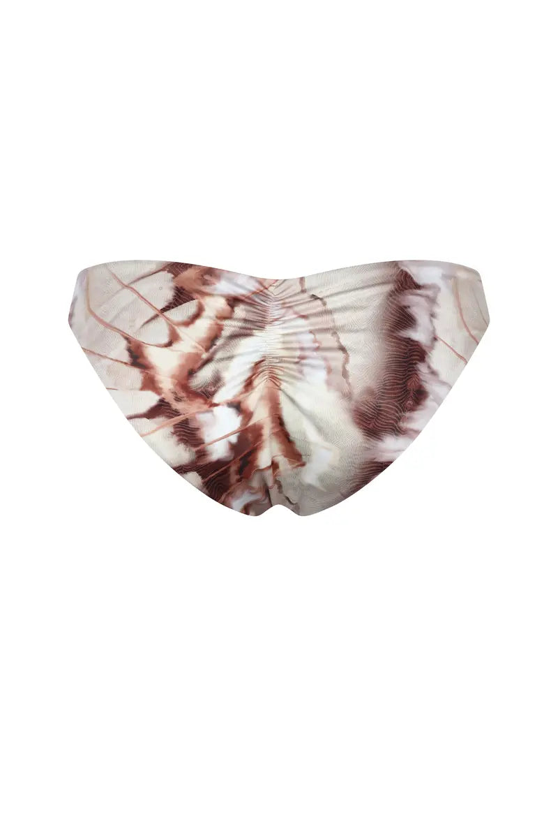 MORPHO Bottom USA Print Cafe