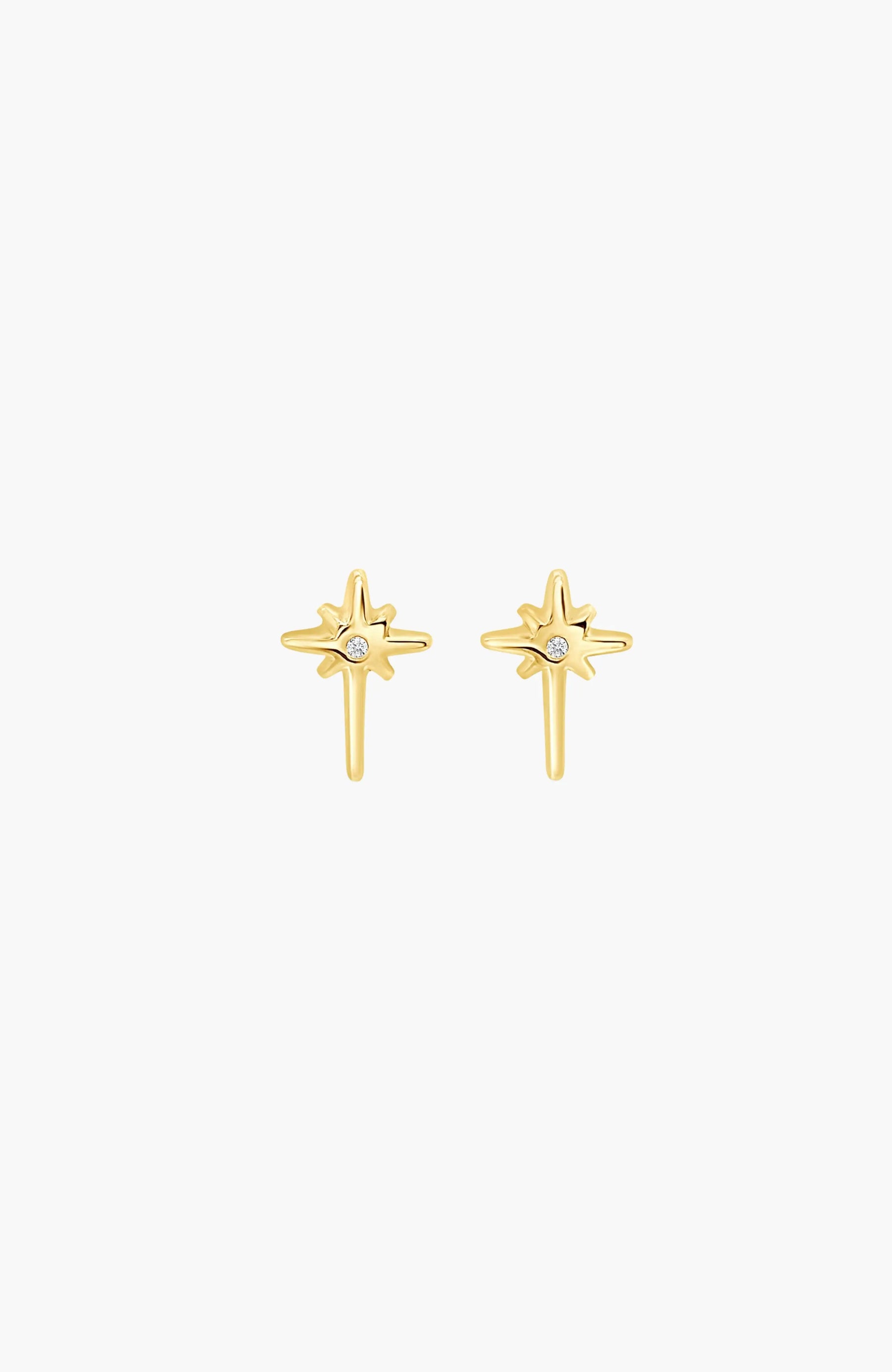 Adoring Star Stud Earring