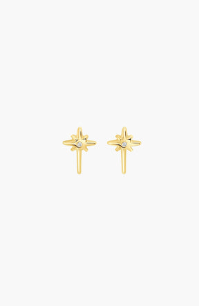 Adoring Star Stud Earring