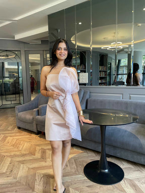 Blush Pink Dress