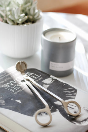 Aerangis Stainless Steel Candle Wick Trimmer