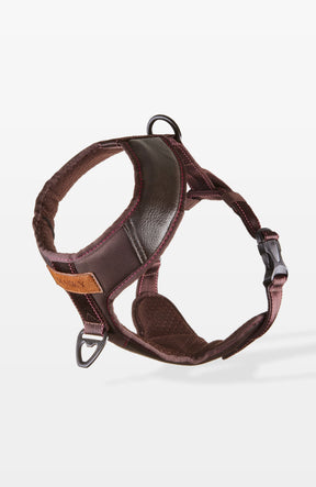 Bold Control Leather Harness