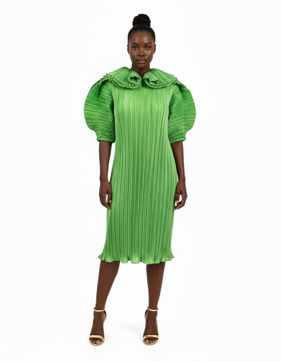 Nisha Pleated Dress