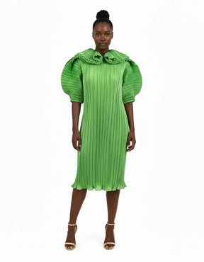 Nisha Pleated Dress