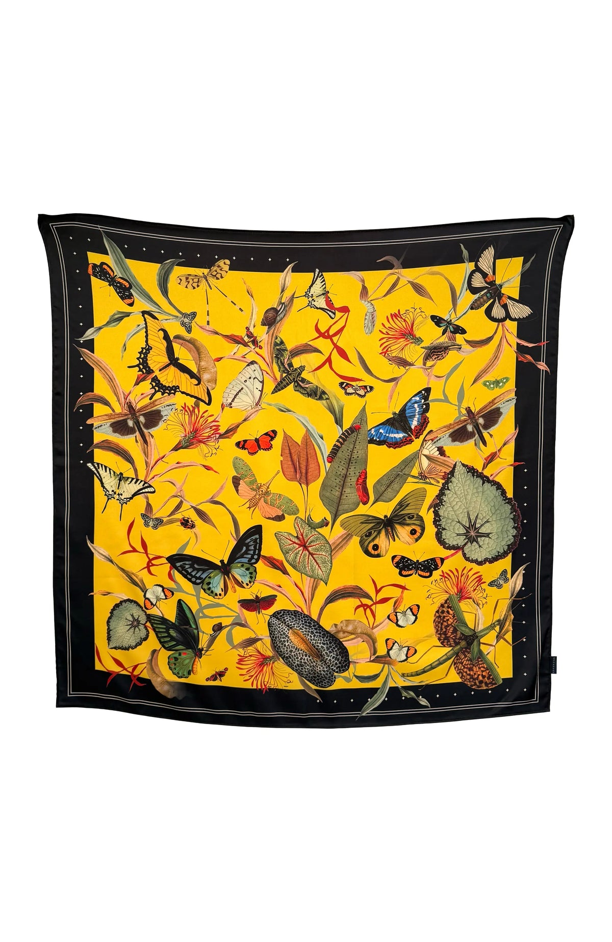 Scarf Butterfly 1