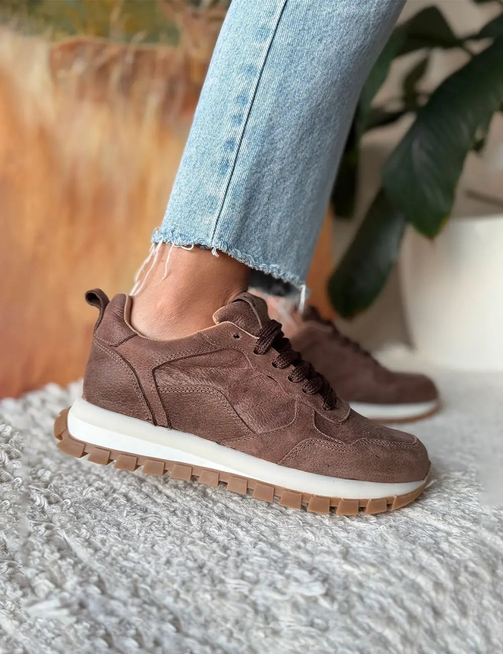 Mule Chocolate
