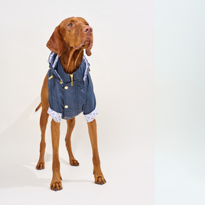 Navy Dog Raincoat