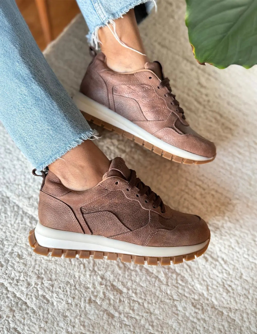 Mule Chocolate
