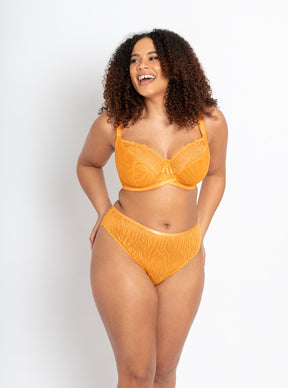 Curvy Kate Lace Daze Bra Mango