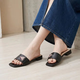 Elarose - Slides