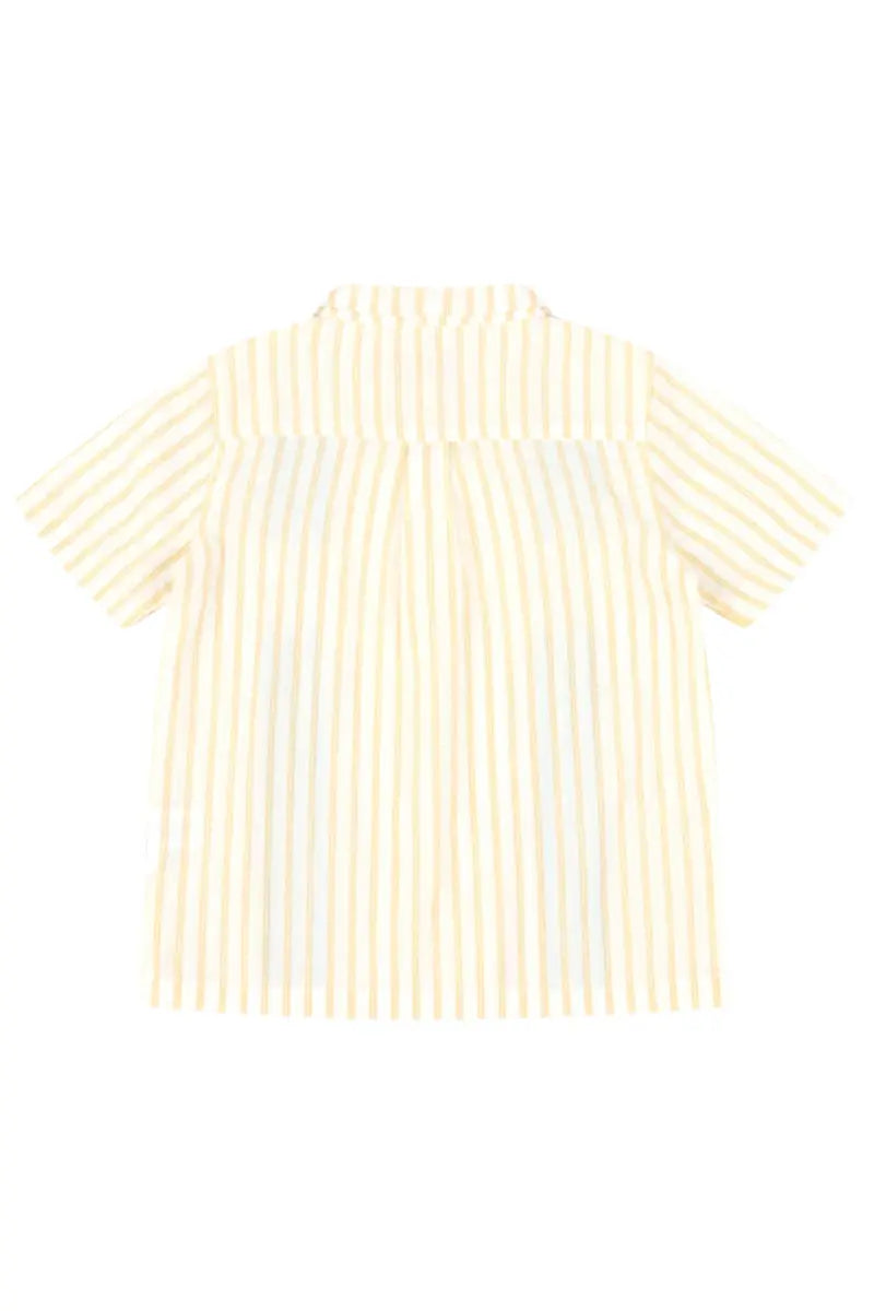 Mixed Up Clothing Boys Bordado Short Sleeve Button Down Shirt