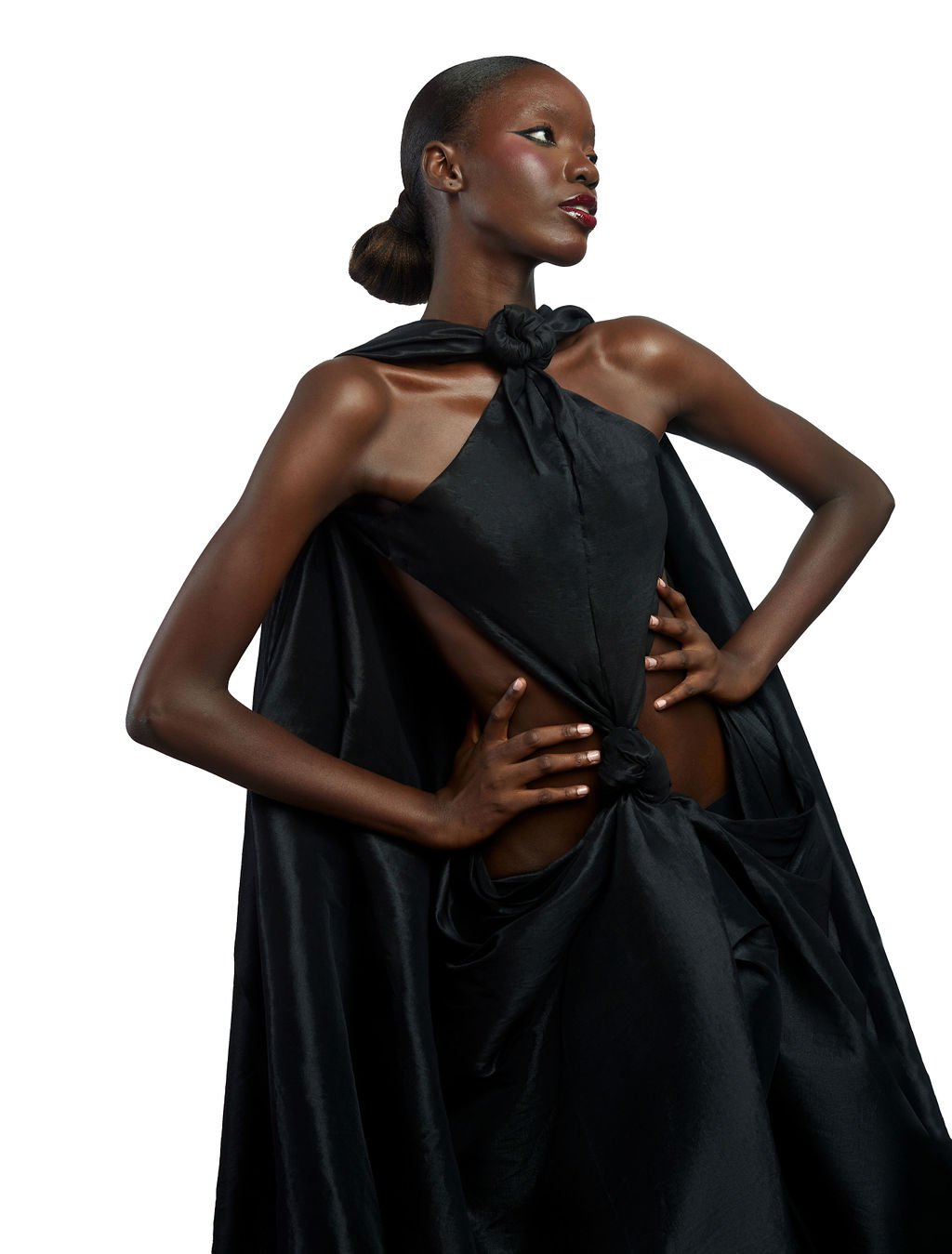 The Bourgeois Dress