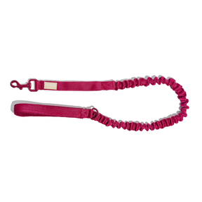 Dog Expandable Leash BASIC Ruby