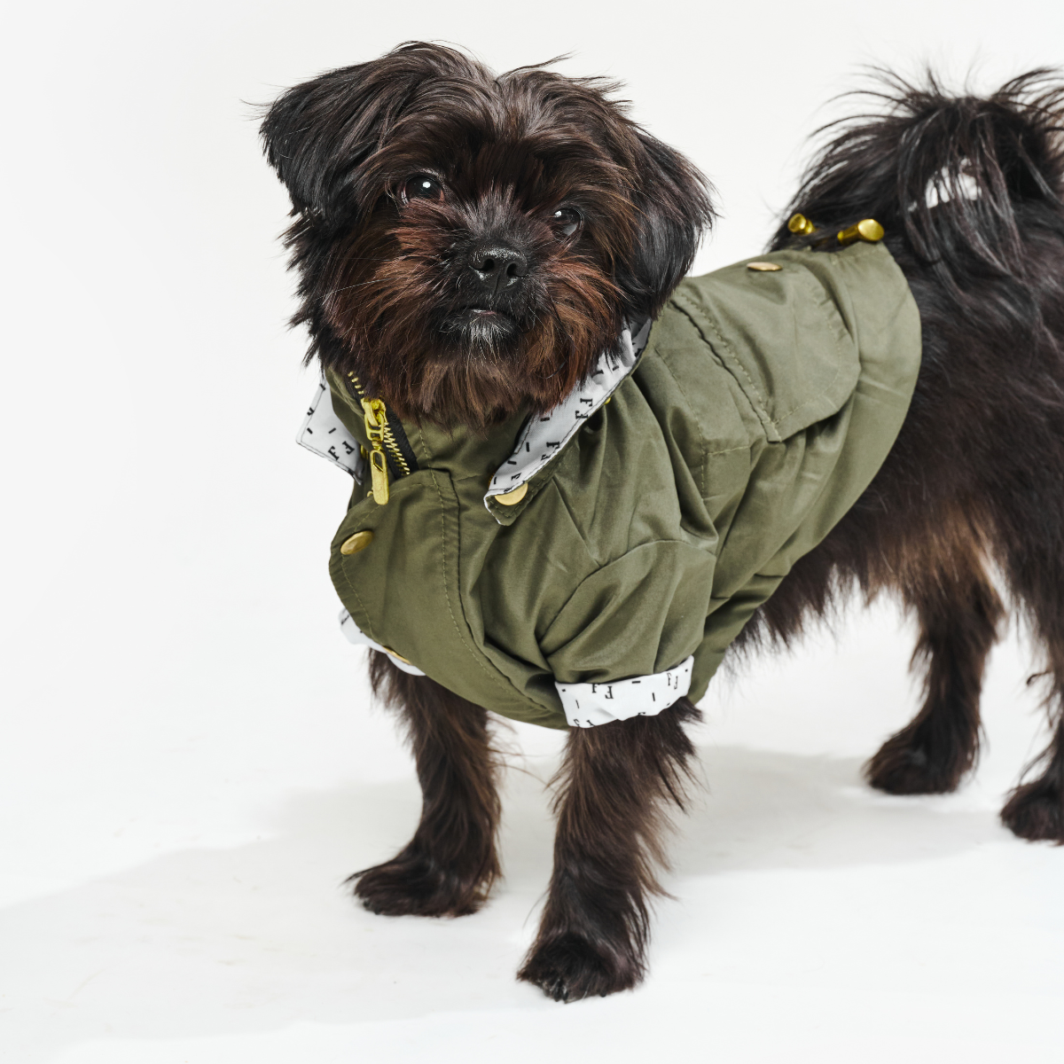 Military Green Dog Raincoat
