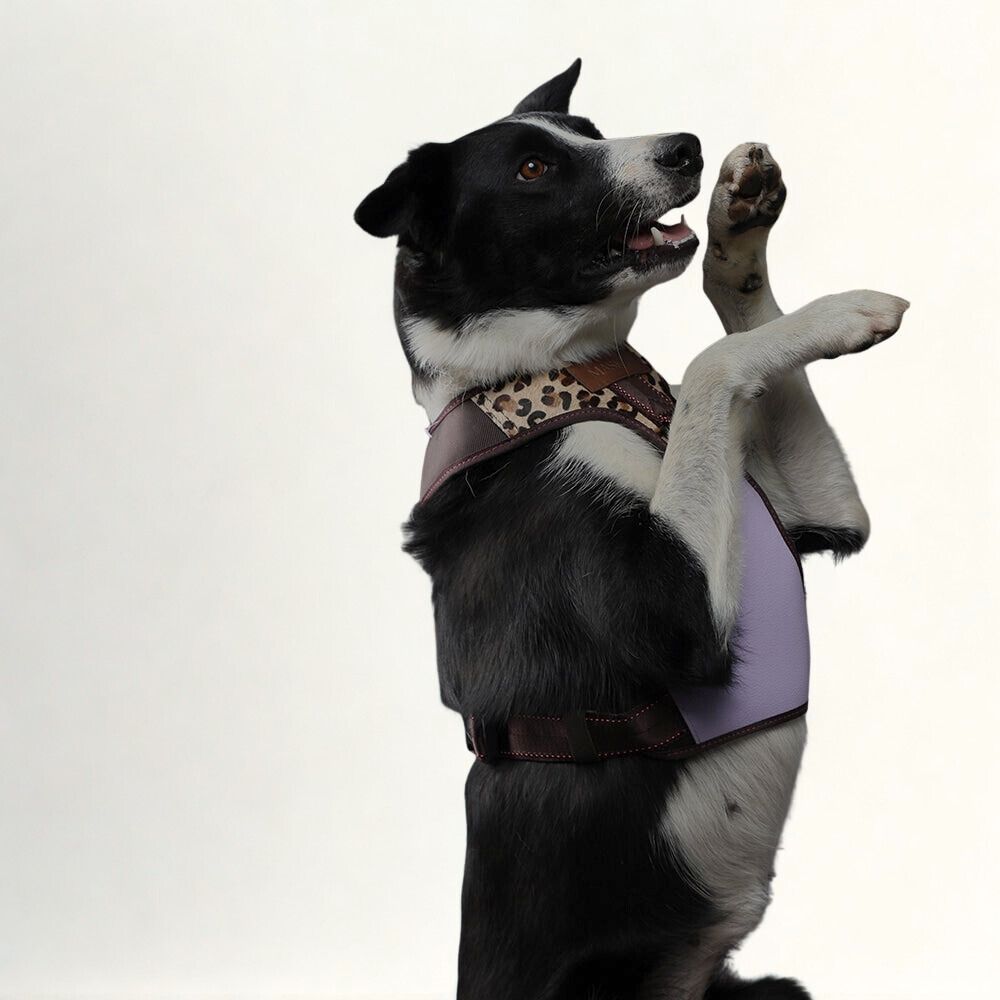 Premium Leather Easy Fit No-Pull Harness ~ Animal Print & Lilac