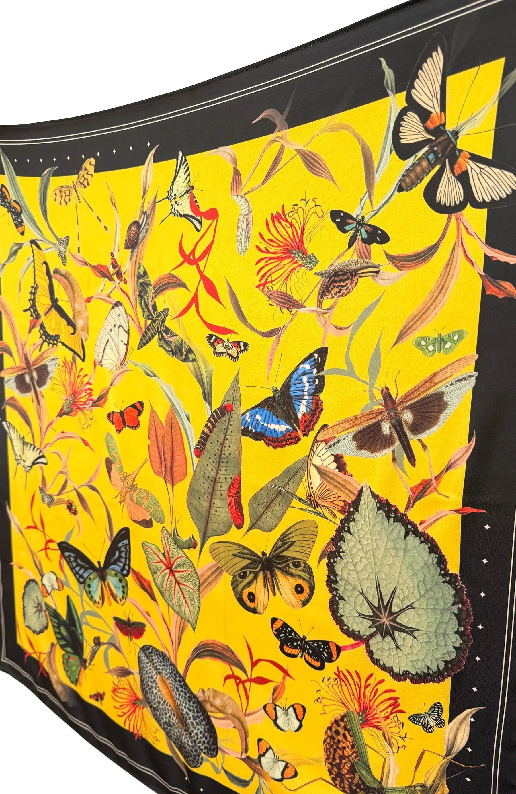 Scarf Butterfly 1