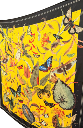 Scarf Butterfly 1
