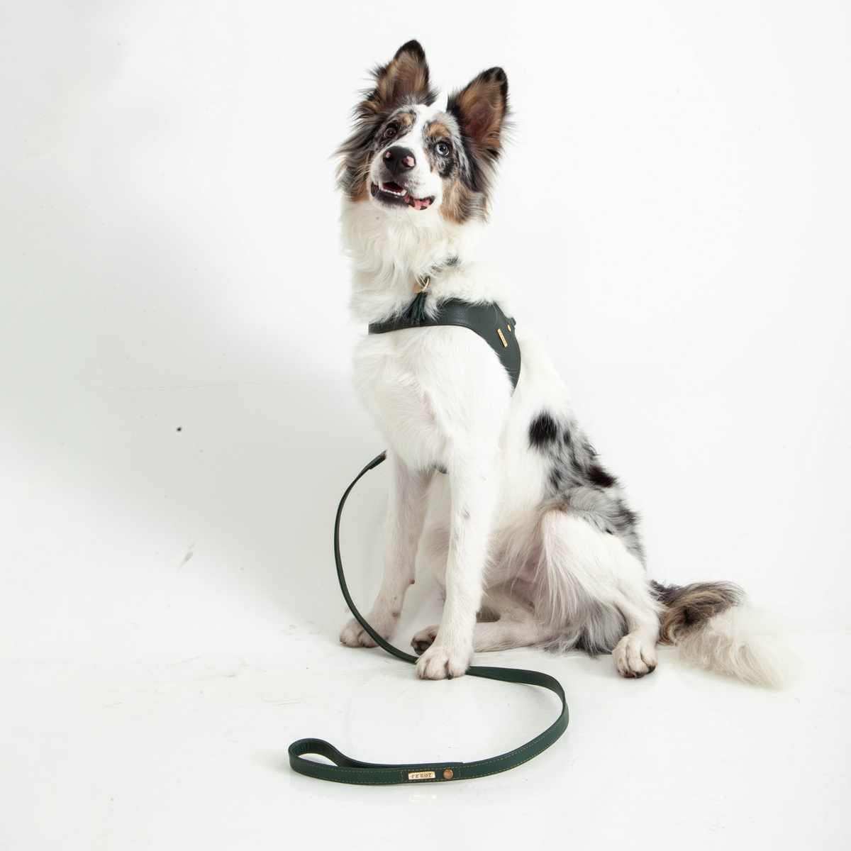 Pine Green Leather Dog Harness