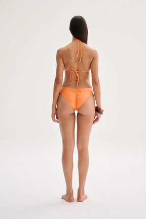 Morpho Top