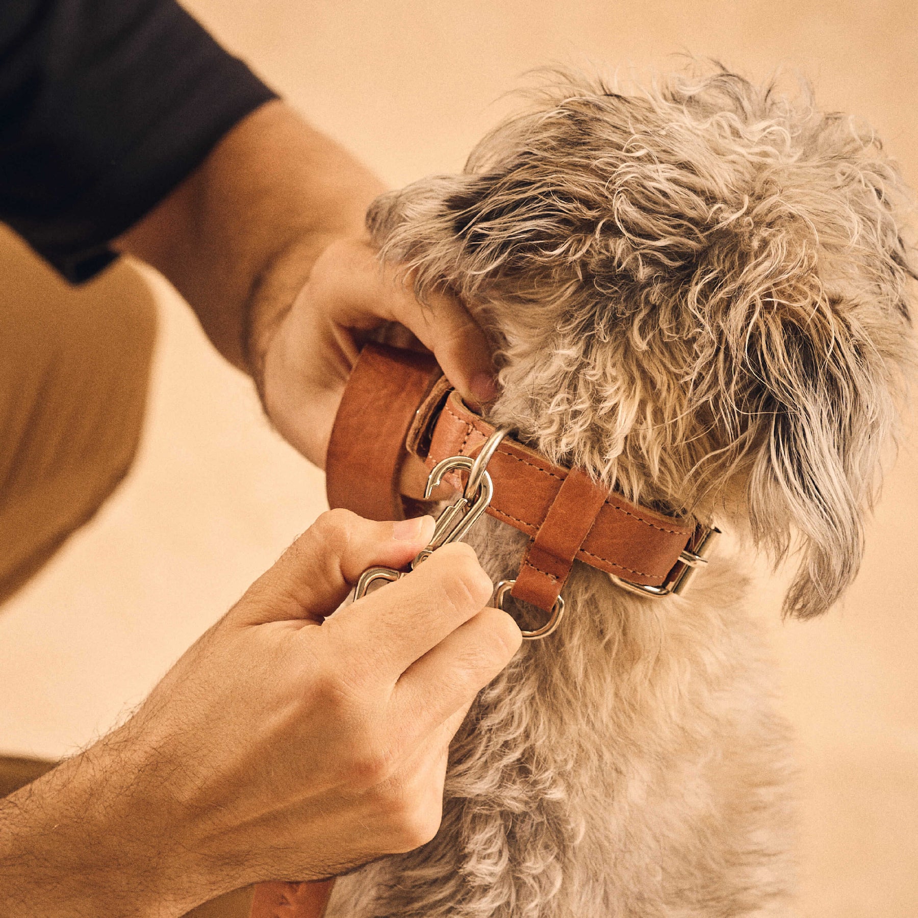 AirTag Pet Leash