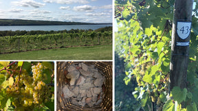 No. 10 A Hundred and Fifteen Rows Scented candle