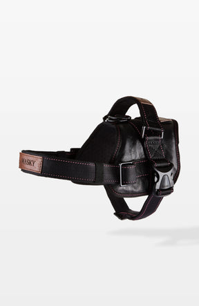 Signature Leather Dog Harness