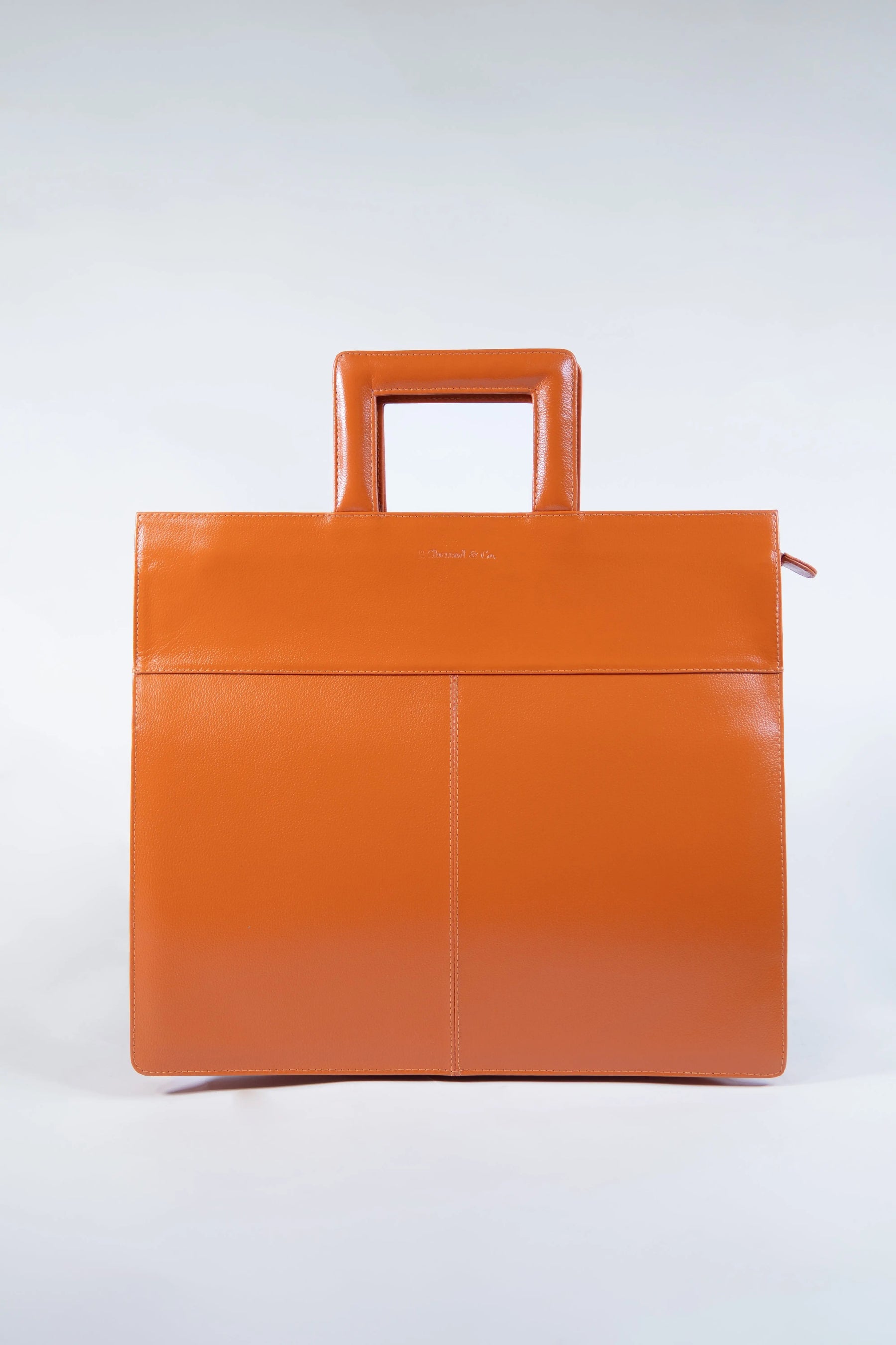 Jennifer Portfolio Clutch