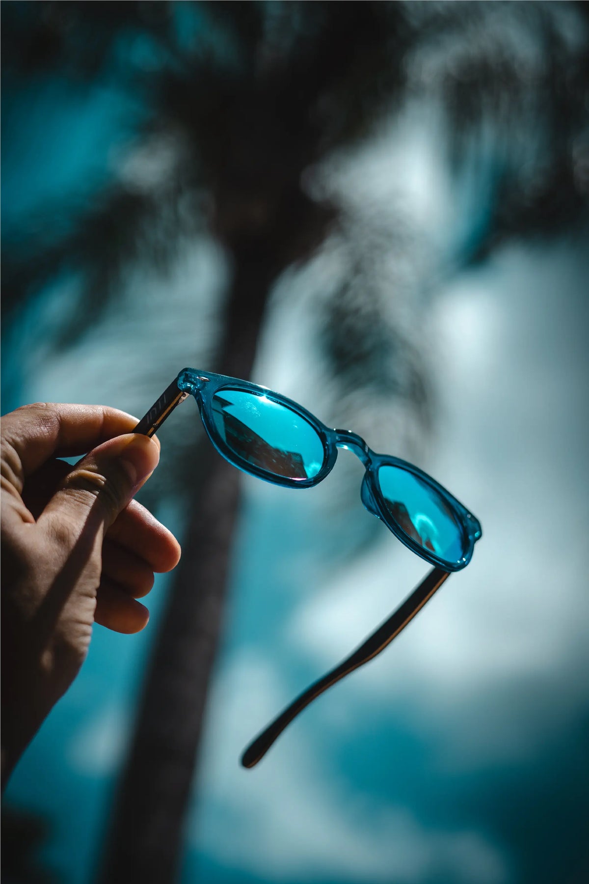 Deep Blue wooden Sungalsses - INTI